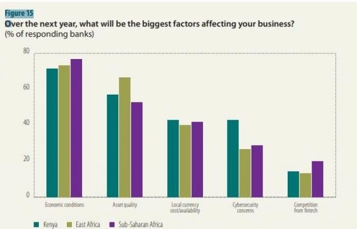 Para el 65% de los bancos del África subsahariana, los riesgos cibernéticos son un obstáculo importante para la digitalización (informe)