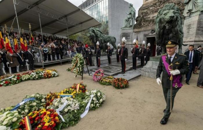 El rey Felipe conmemora el Armisticio al pie de la columna del Congreso en Bruselas (fotos)