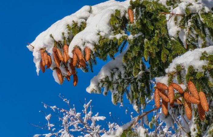 En Suiza llega el frío y la nieve no estará lejos