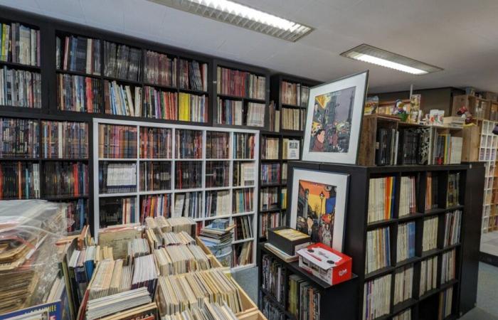 abre una librería para vender su excepcional colección de 26.000 cómics, mangas y cómics