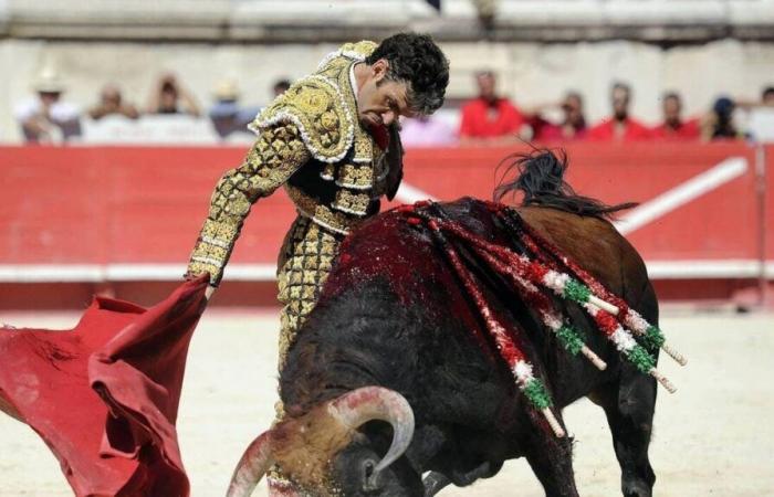 La pregunta del día. ¿Deberían prohibirse las corridas de toros a los menores de 16 años?