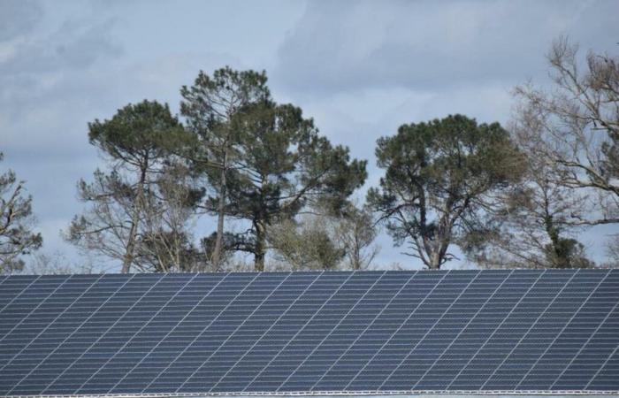 Fotovoltaismo en el menú del Consejo Comunitario