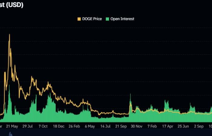 Dogecoin amplía sus ganancias mientras los comerciantes evalúan el papel de Elon Musk en la próxima administración Trump