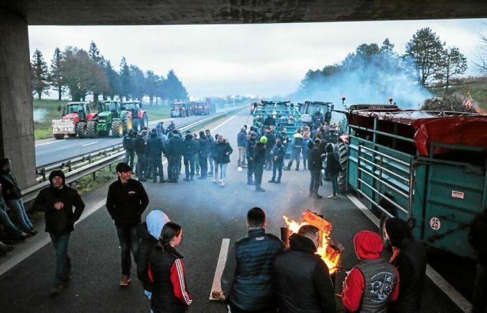 Ira de los agricultores: ¿deberíamos esperar nuevos bloqueos en Ille-et-Vilaine?