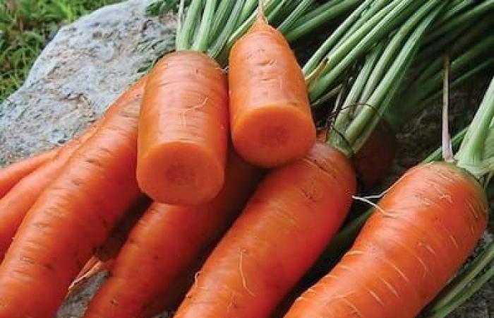 Verduras de aquí, todo el año