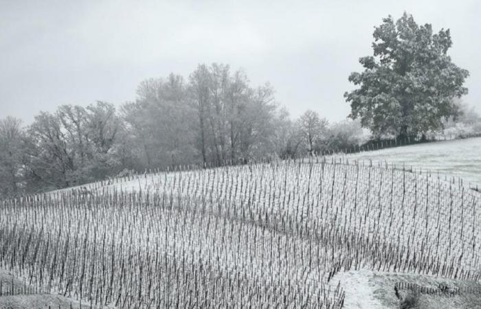 aquí están los 5 lugares donde se espera nieve esta semana