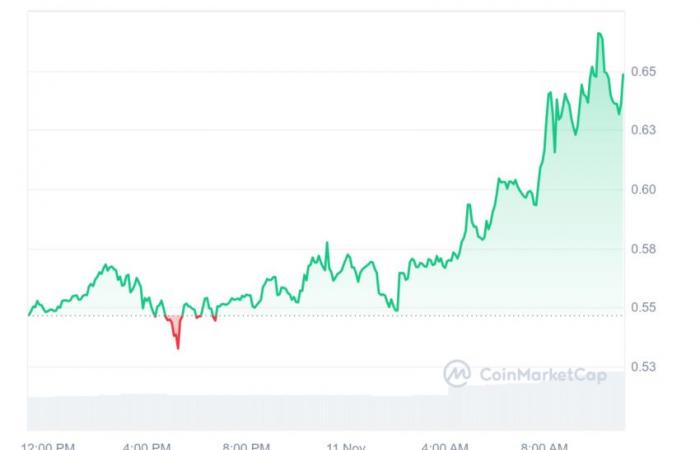 es bueno apostar por Dogecoin