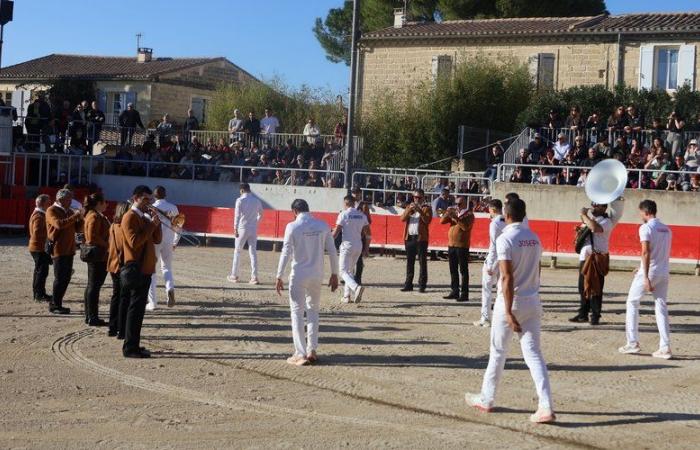 Gallargues-le-Montueux: El biou del lema “azul y oro” se codea con los ángeles