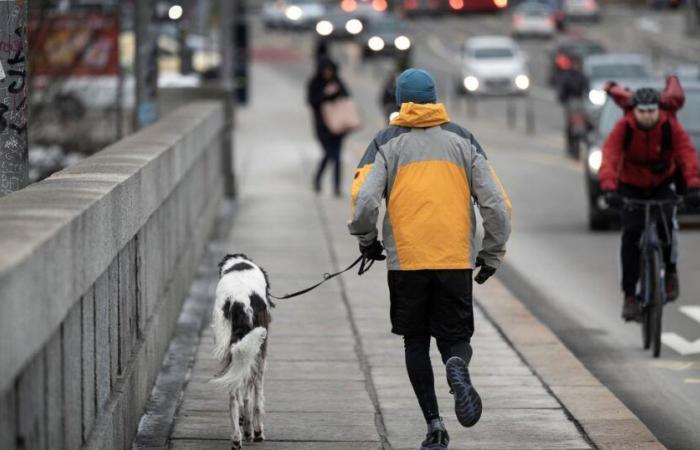 ¿Una pastilla para sustituir el deporte? El descubrimiento danés que llama la atención – rts.ch