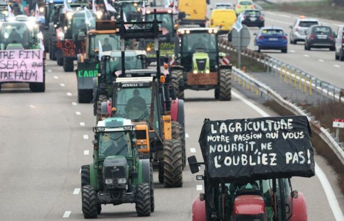 Jérôme Bayle deplora acciones “más políticas que constructivas”