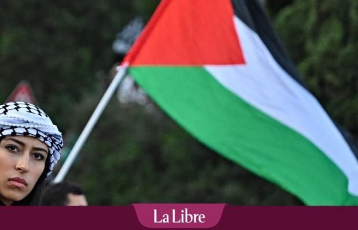 Tensiones en Oriente Medio: para Israel, la creación de un Estado palestino no es una “posición realista”