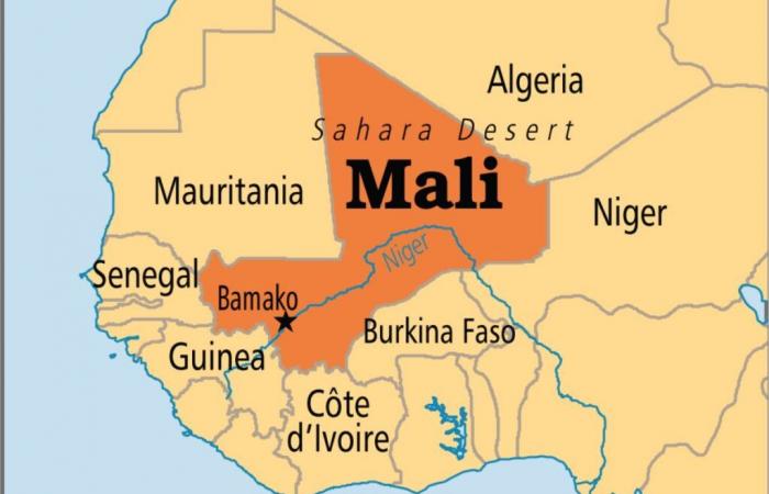 Mina de oro en Mali: la junta militar en el poder golpea duramente…