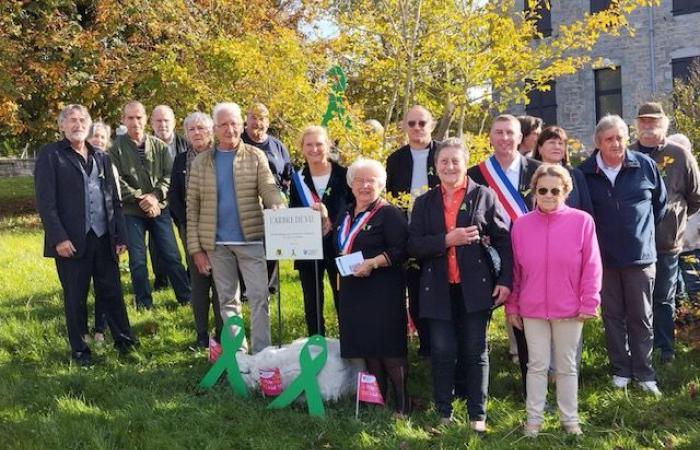 Champagnole y Región. ¡Un árbol de la vida en honor a los donantes de órganos, por primera vez en el Jura! | Semanal 39