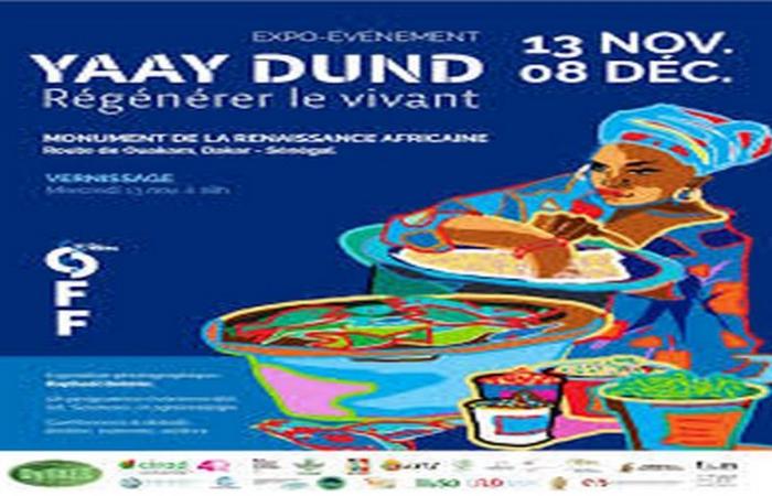 Senegal: Inauguración de la exposición-evento DyTAES “YAAY DUND, Regenerando los vivos” – VivAfrik