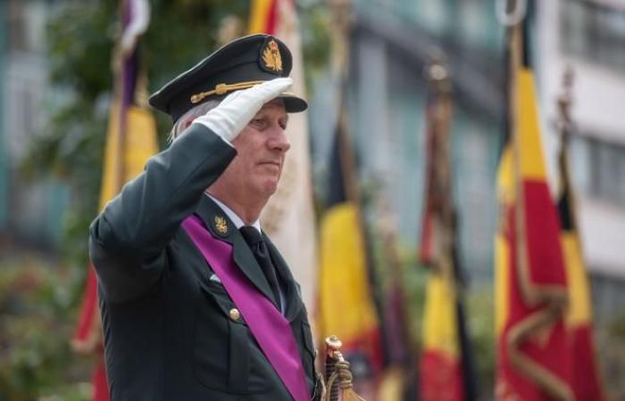 El rey Felipe conmemora el Armisticio al pie de la columna del Congreso en Bruselas (fotos)