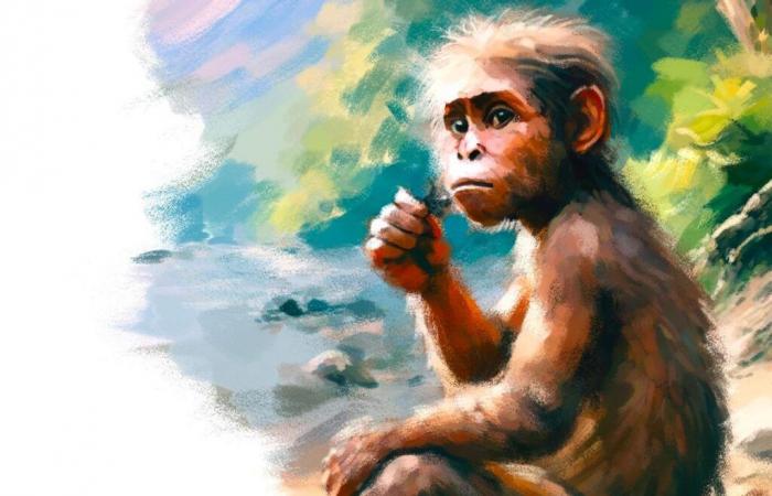 El debatido legado de Lucy, el australopithecus más famoso