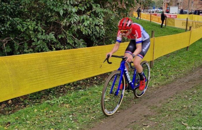 Avance Superprestige Annual Market Cross Niel 2024 | Nys y Ronhaar envían a su gato, pero no te preocupes.