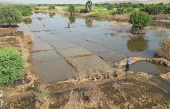 Miles de desplazados y cultivos destruidos por las inundaciones en Senegal – rts.ch