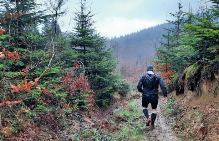 Para su 18º aniversario, la ruta del Lobo Blanco se lleva la mayor parte en Creuse