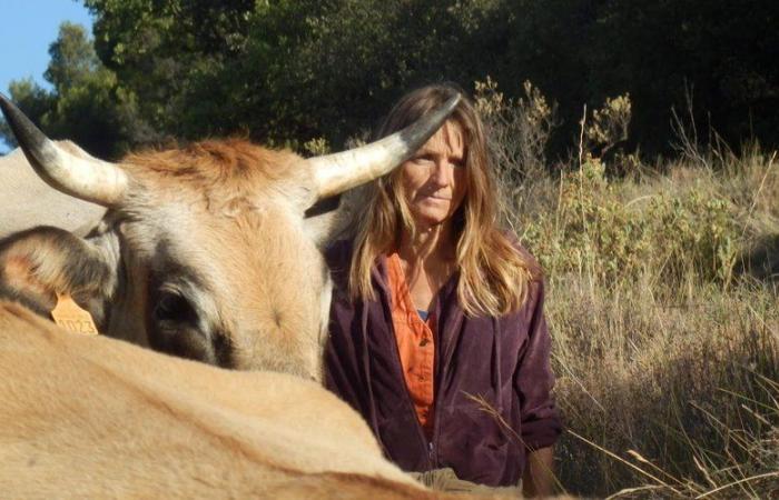 “Esté presente para él hasta su último aliento…” una conferencia para apoyar mejor la muerte de los animales de granja en Aveyron