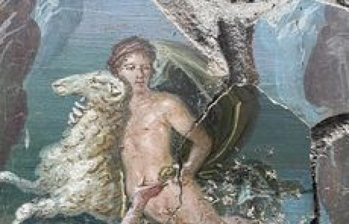 Pompeya: los análisis de ADN revelan la verdadera historia de las víctimas de la erupción del Vesubio