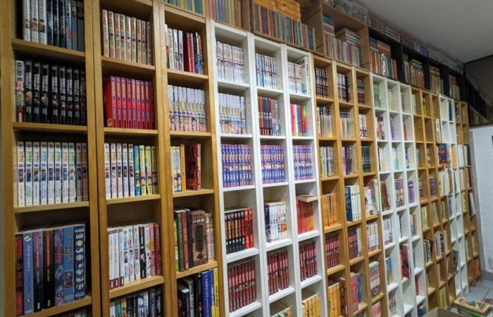 abre una librería para vender su excepcional colección de 26.000 cómics, mangas y cómics