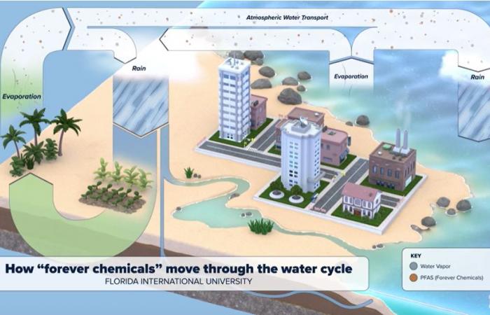 El análisis del agua de lluvia revela que contiene compuestos “químicos para siempre” o “químicos para la vida”, ¡PFAS!