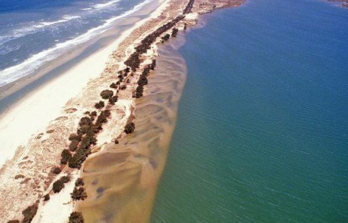 Desbordamientos de agua dulce (ríos, lagos, etc.) en todo el mundo: ¿qué medidas preventivas? – El diario