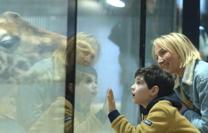 el retrato de la madre de un niño autista, “no preparado” para escalar la montaña