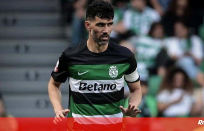 Luís Neto confirmado en el comité técnico de João Pereira – Sporting