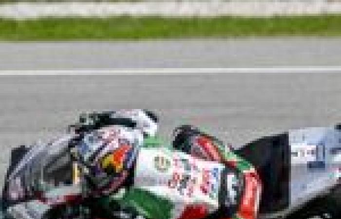 ¡Ranking de pilotos japoneses en MotoGP, Quartararo y Zarco coronados! -Le Mag Sport Auto