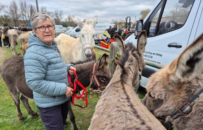 Más de 500 stands y miles de visitantes para esta feria del Alto Loira