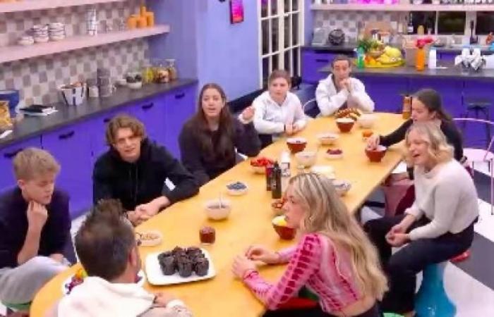 Público 16:15: “Un domingo en el campo” en Francia 2, muy por delante del diario “Star Academy” que atrae a poco más de 1,1 millones de espectadores en TF1