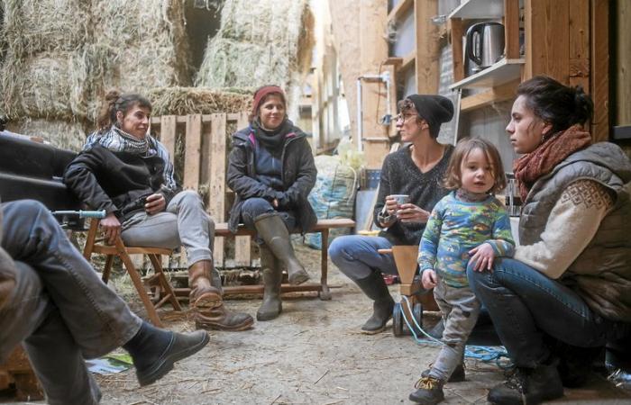 Larzac, sublime ante el objetivo de Philémon d’Andurain