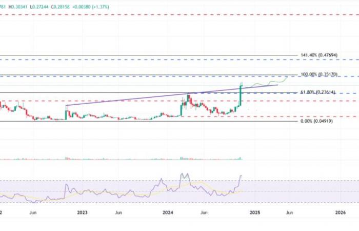 Dogecoin amplía sus ganancias mientras los comerciantes evalúan el papel de Elon Musk en la próxima administración Trump