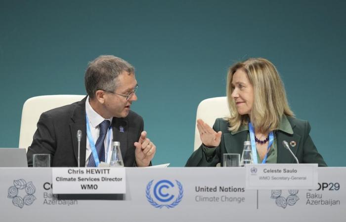 COP29: los objetivos climáticos del acuerdo de París en gran peligro