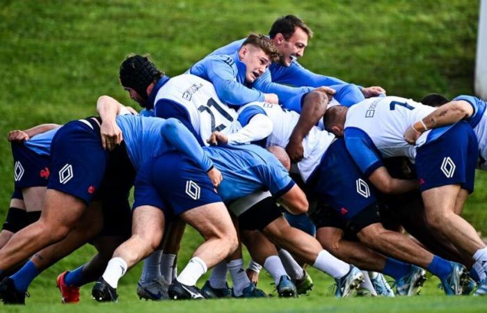 ¿Un nuevo ejecutivo de los Blues retirado de la titularidad para el choque contra los All Blacks?