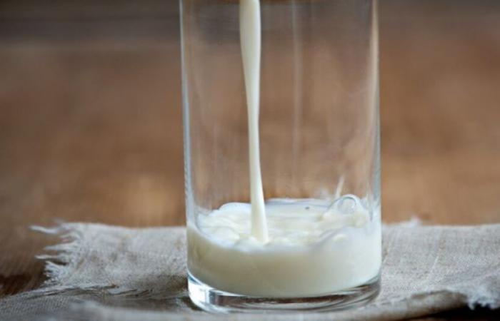 Botellas de leche retiradas del mercado en toda Francia por un defecto “organoléptico”: Noticias