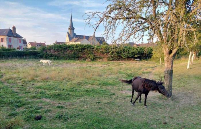 una conferencia a seguir con el Parque Natural de Perche