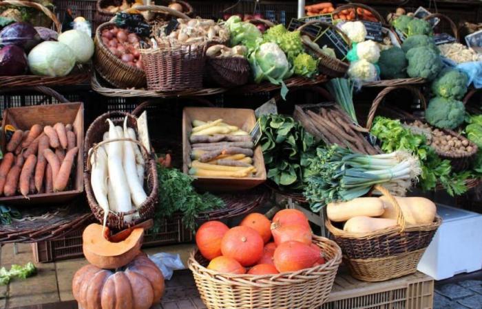 Verduras de aquí, todo el año