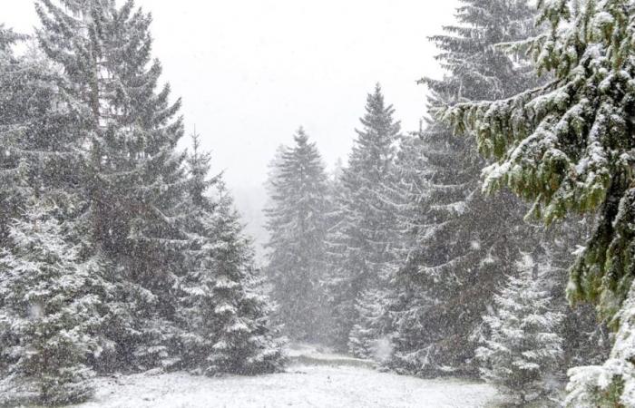 El límite de nevadas sigue disminuyendo: ¿el invierno incluso nevará en el norte? | Noticias