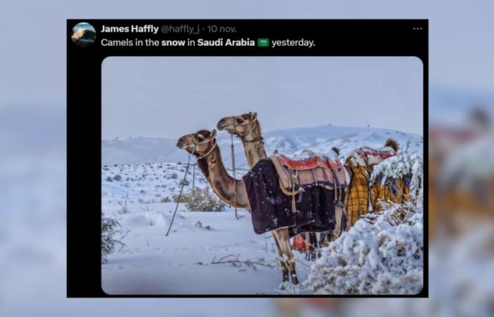 las imágenes más bellas del país afectado por la nieve