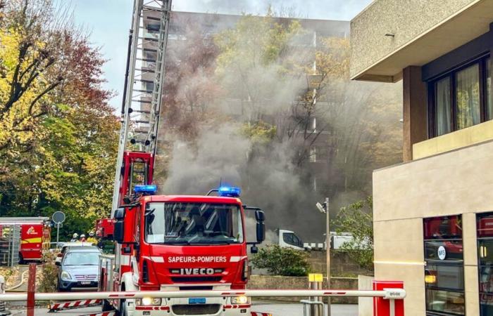 Dos vehículos incendiados en un aparcamiento de Ginebra y un robot en el puente