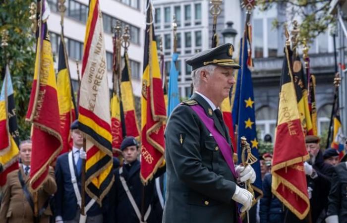 El rey Felipe conmemora el Armisticio al pie de la columna del Congreso en Bruselas (fotos)