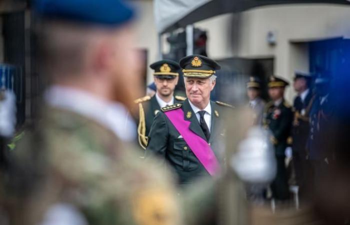 El rey Felipe conmemora el Armisticio al pie de la columna del Congreso en Bruselas (fotos)