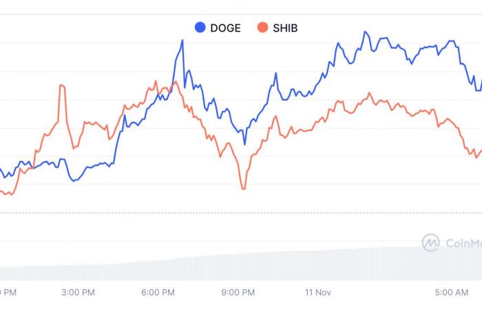 Los precios de Memecoin se disparan a medida que Dogecoin, Shiba Inu lideran el camino y la ICO de Flockerz se acerca a los 1,5 millones de dólares