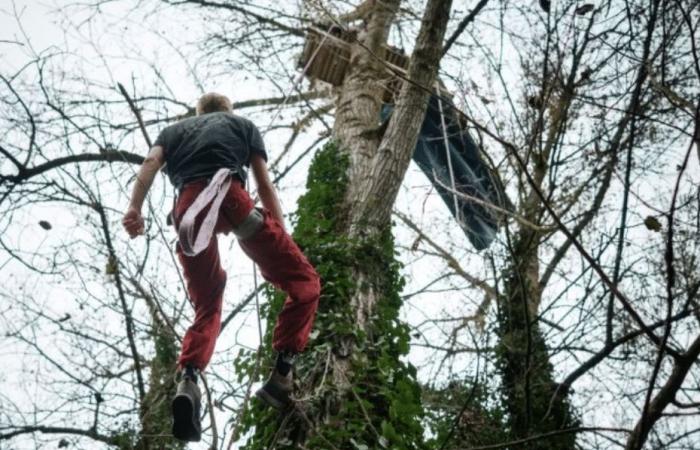 VIDEO. “Quiero ver si están dispuestos a matar gente”, una “ardilla” amenaza con ahorcarse en la obra de LGV