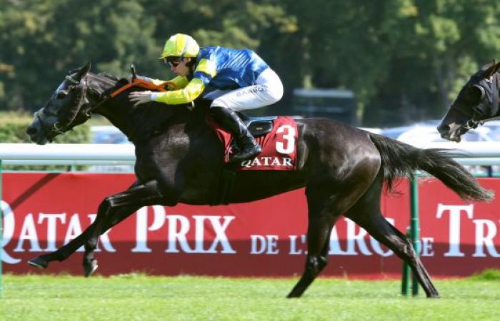 Premio Fille de l’Air: El premio Fille de l’Air para la cumbre del 11 de noviembre