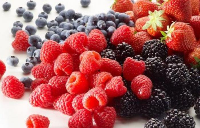 Marruecos Berry Conference: profesionales de los frutos rojos reunidos en Agadir