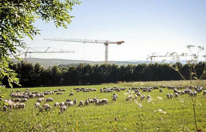 Larzac, sublime ante el objetivo de Philémon d’Andurain